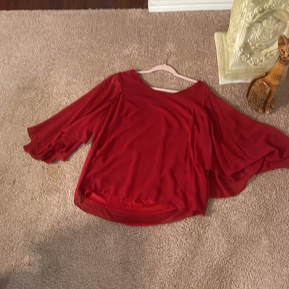 Brand is ARTIZAN Robin Barre size is large color is red - Picture 3 of 6